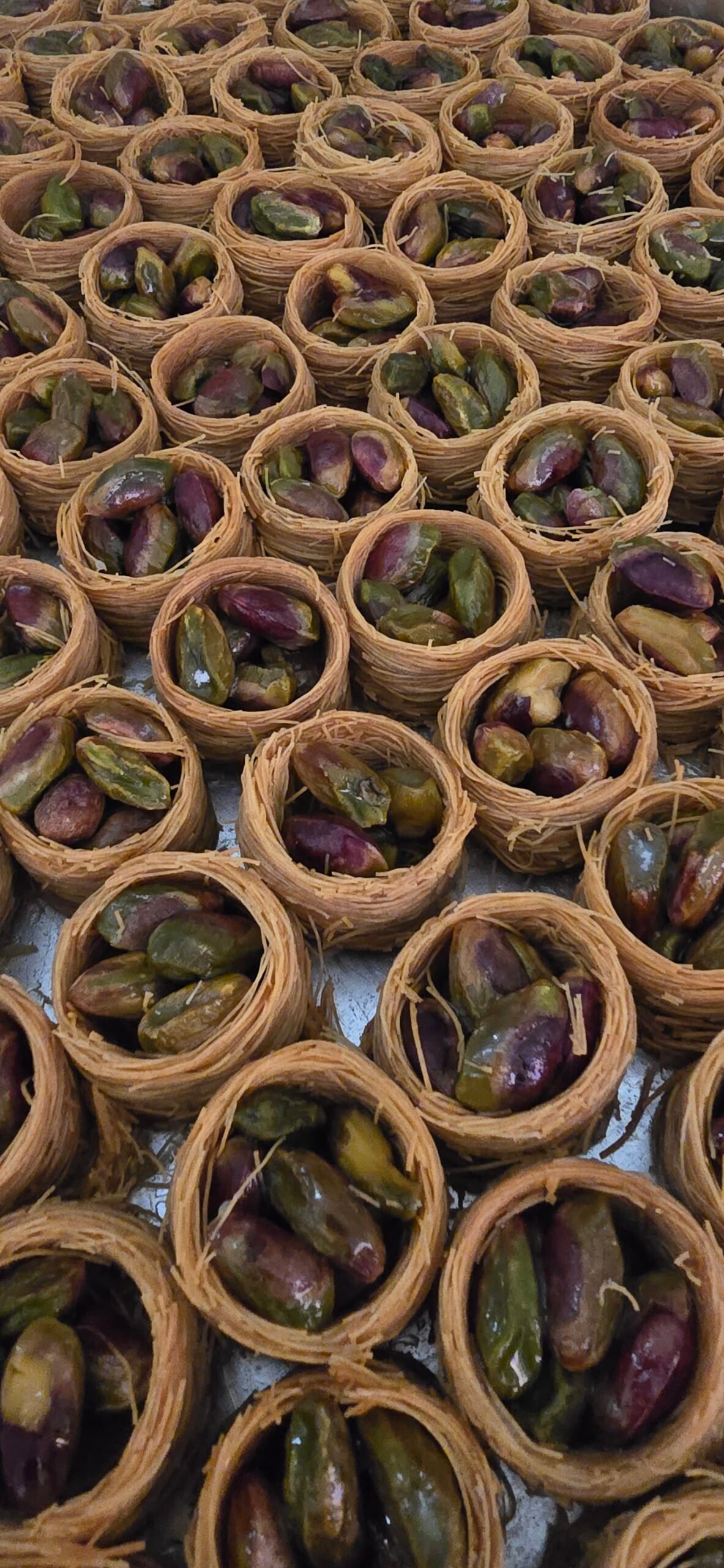 vogelnestje pistachio